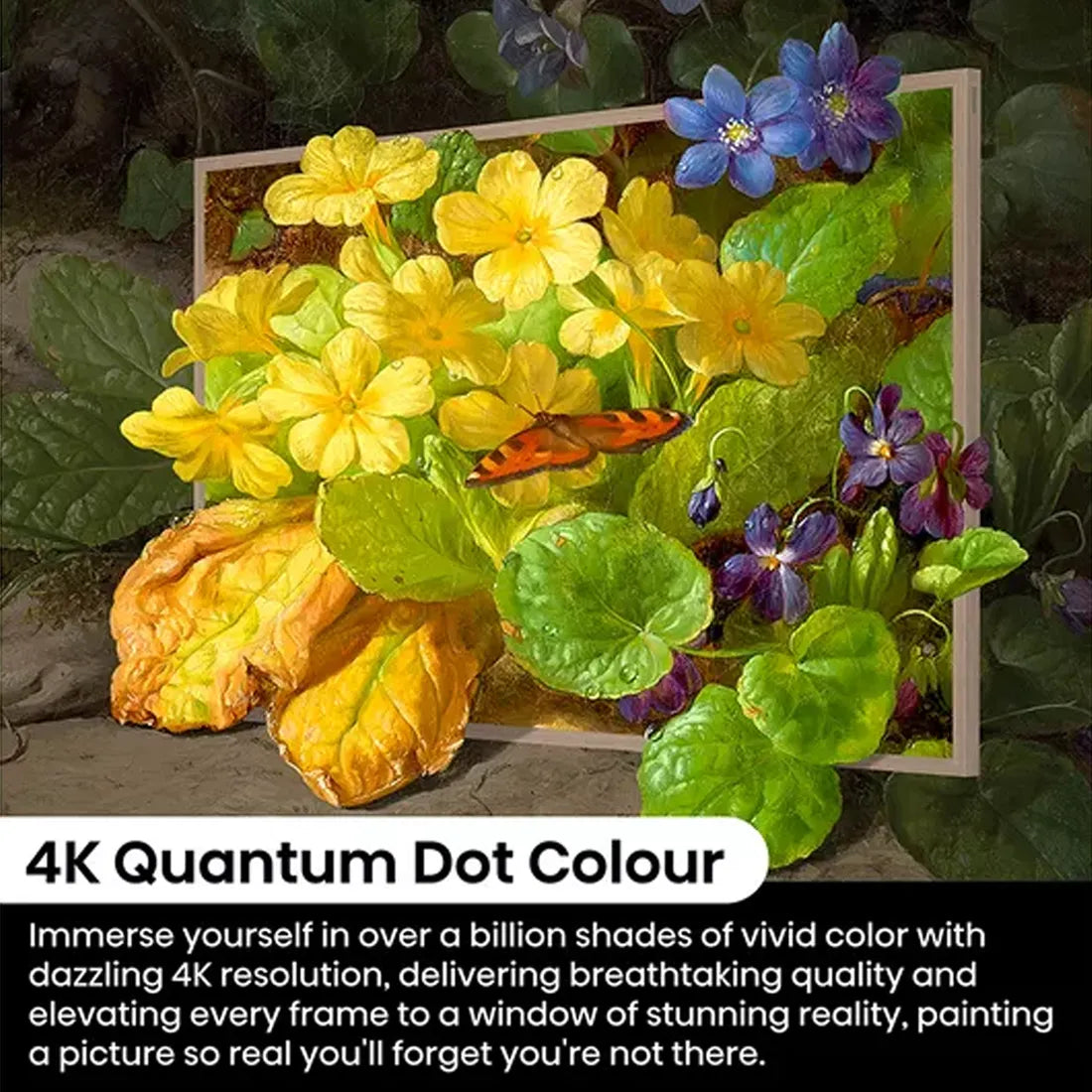 Hisense 55" Canvas S7NQ 4K Quantum Dot colour performance graphic