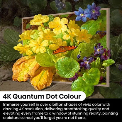 Hisense 55" Canvas S7NQ 4K Quantum Dot colour performance graphic